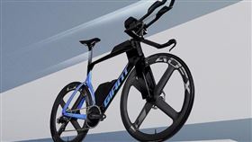 捷安特（圖／翻攝自捷安特官網）