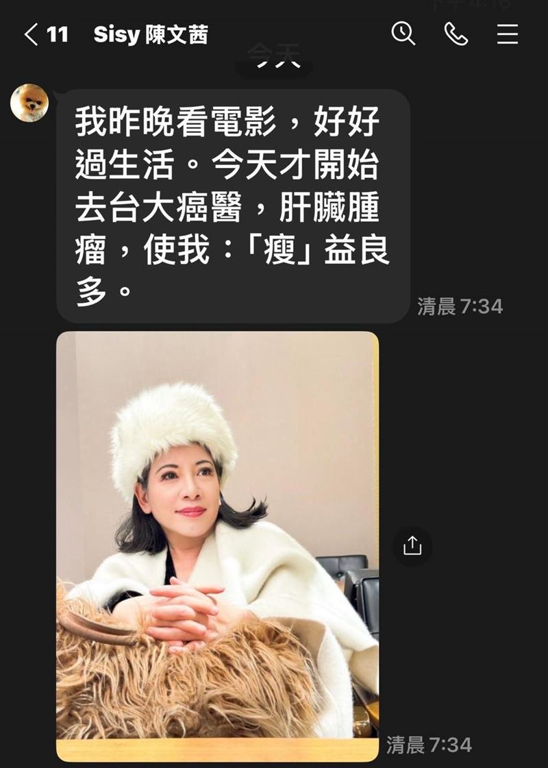 陳文茜宣布癌細胞Bye Bye。（圖／翻攝自臉書）