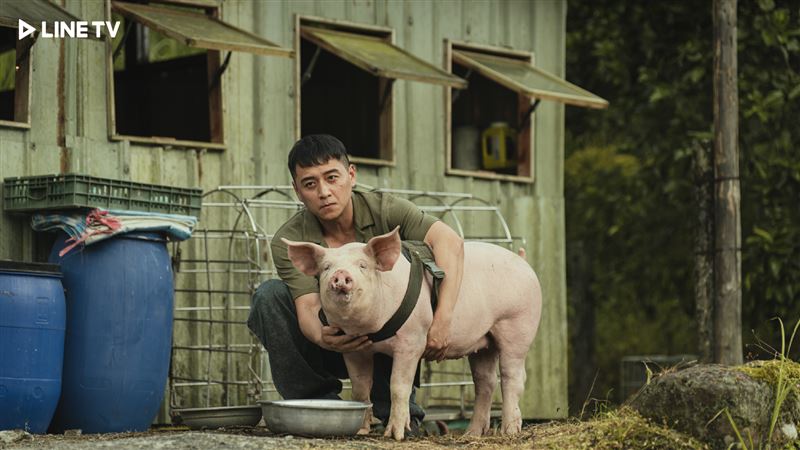 鄭人碩稱讚豬演員很敬業。（圖／LINE TV提供）