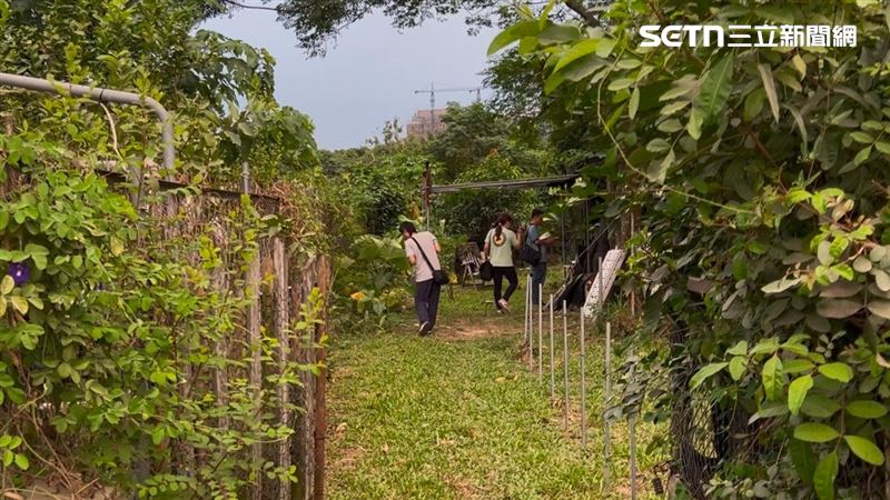 高雄30歲蔡姓青農，在橋頭區承租農地，除自耕維生，因興趣使然，竟然在農地旁倉庫內設置工作區，從事槍彈改造與組裝。（圖／翻攝畫面）