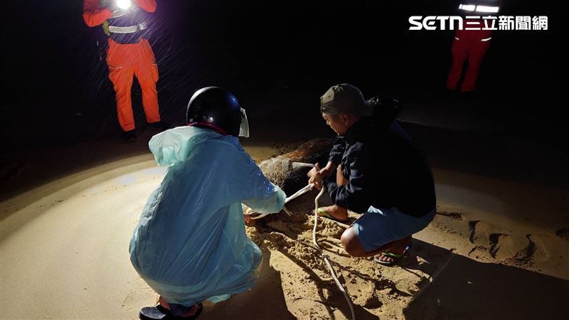 梅花鹿因過度驚嚇、失血過多身亡。（圖／翻攝畫面）