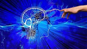 腦,腦部,記憶力,失智。（示意圖／PIXABAY）