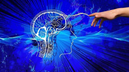 「3類食物護腦」！降失智風險 提高專注力