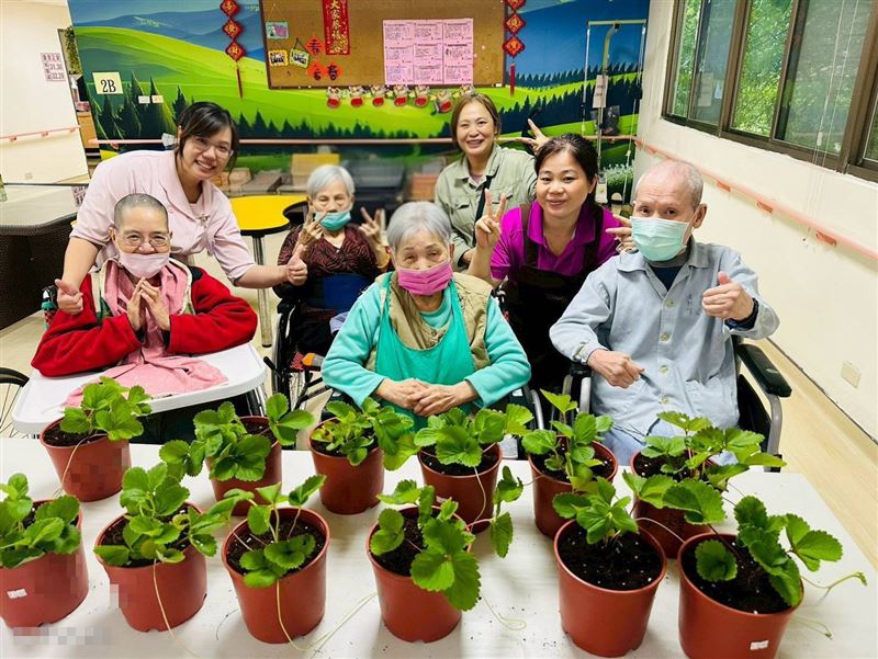 長輩們開心接力栽種草莓，期待未來再次共享甜美的豐收時光。（圖／桃園電子報提供）
