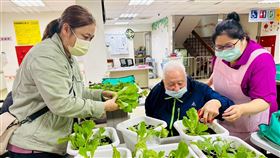 推動園藝輔助治療　長輩種菜料理滿滿成就。（圖／桃園電子報提供） 