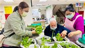 推動園藝輔助治療　長輩種菜料理滿滿成就