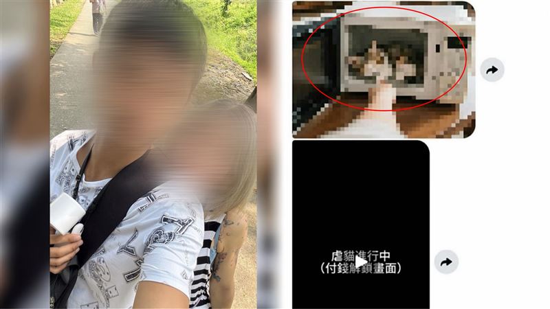 高雄一名35歲卓姓男子將幼貓塞進微波爐凌虐畫面PO網，變態描述細節，不過他喊冤是被盜用，已提告。（圖／翻攝自臉書、白橋茵辦公室提供）