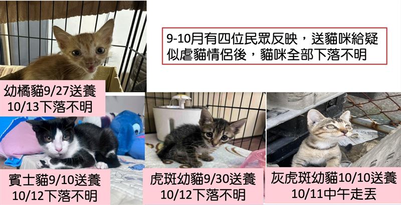 事實上，情侶倆早就臭名遠播，被各大社團列為黑名單是虐貓累犯。（圖／白橋茵辦公室提供）