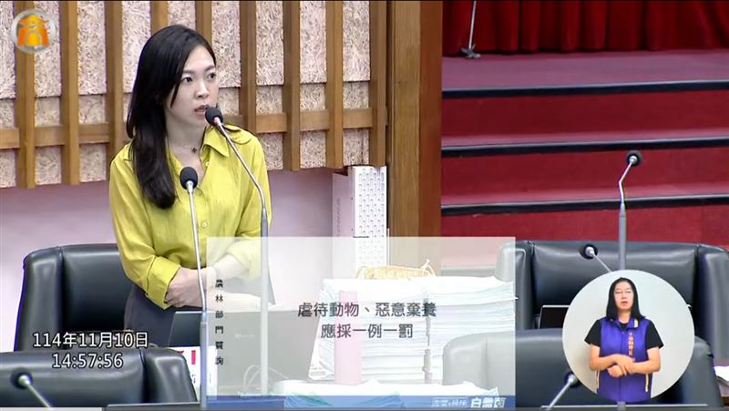 白喬茵認為，罰則過輕，毫無嚇阻效果，呼籲虐待動物、惡意棄養，應採一例一罰。（圖／白橋茵辦公室提供）