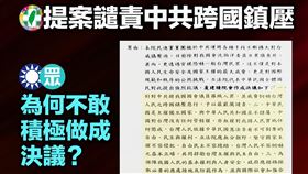 民進黨團：提案譴責中共跨國鎮壓，藍白為何不敢積極做成決議？（圖／翻攝自民主進步黨）