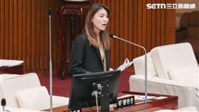顏若芳質詢台北市長蔣萬安（圖／記者楊士誼攝影）