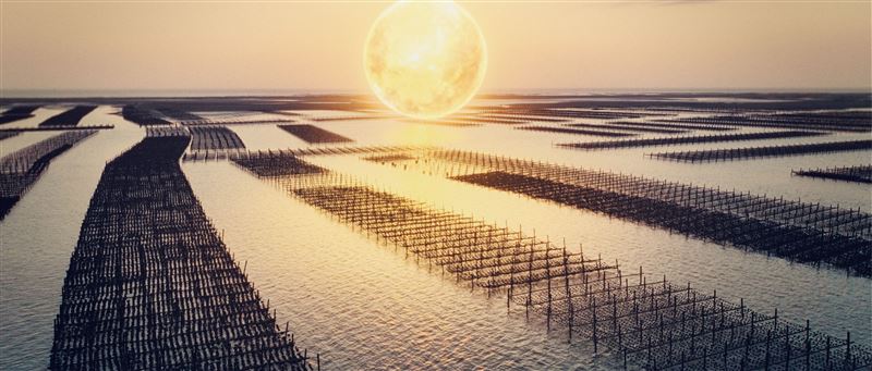 嘉義縣發布「太陽之都X嘉義人」2026台灣燈會形象影片展現城市魅力。（圖／嘉義縣政府提供）