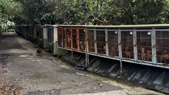 人人犬舍虐狗疏失一籮筐！爭議始末一次看