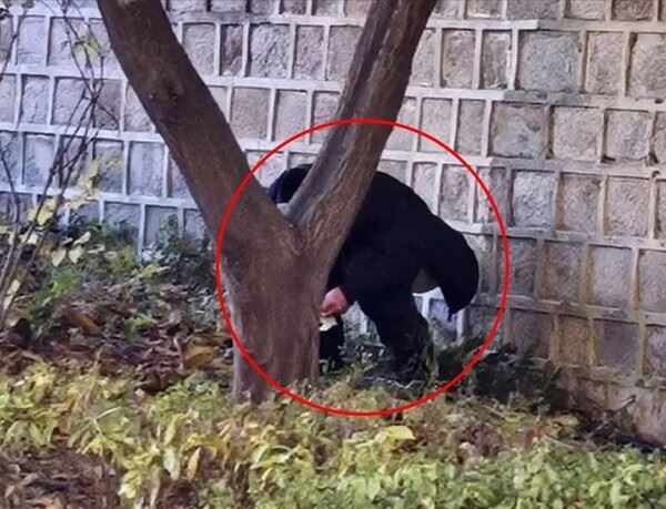 一名疑似中國人的男子光天化日下在景福宮牆上大便，遭韓警裁罰。（圖／翻攝Newsis）