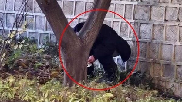 陸客景福宮公然便溺　韓網怒：國格何在！