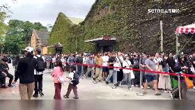 品  玩具展黃牛1300