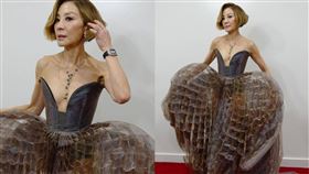 楊紫瓊裙襬被網友戲稱是「滷牛肚」。（圖／翻攝自楊紫瓊IG）