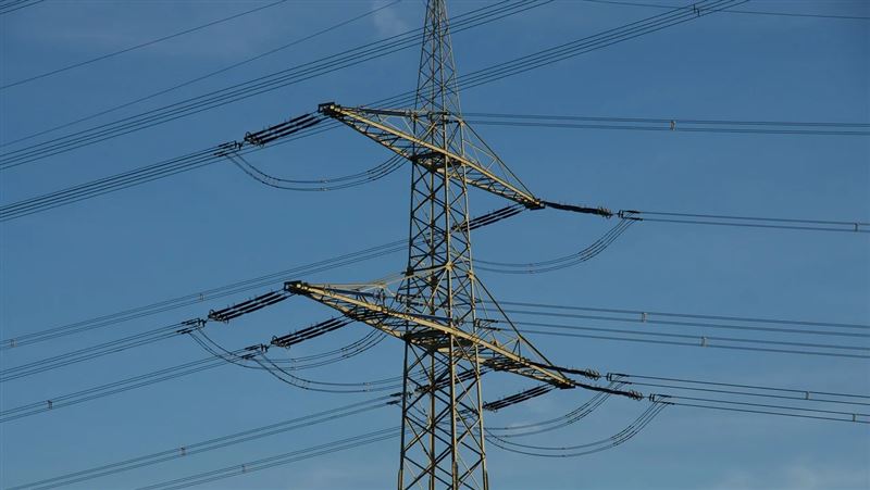 海外人數週增1.3萬人 它們受益人衝高!