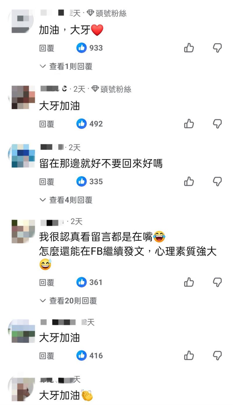 范瑋琪臉書發文被網友洗版。（圖／翻攝自范瑋琪臉書）