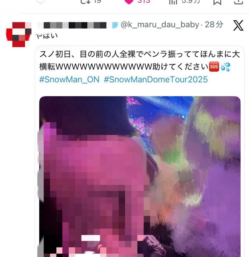 女粉全裸看「Snow Man」演唱會，在網路上掀起不小的討論。（圖／翻攝自Ｘ）