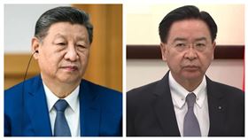 中國國家主席習近平、我國安會秘書長吳釗燮（組合圖）