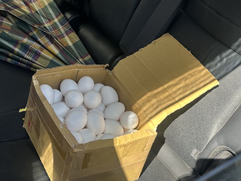 「私賣或誤出貨」?毒蛋又流出檢調要查了