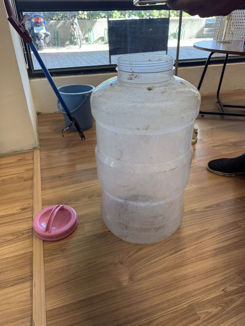 農業局廠商順利抓到蛇隻。（圖／翻攝畫面）