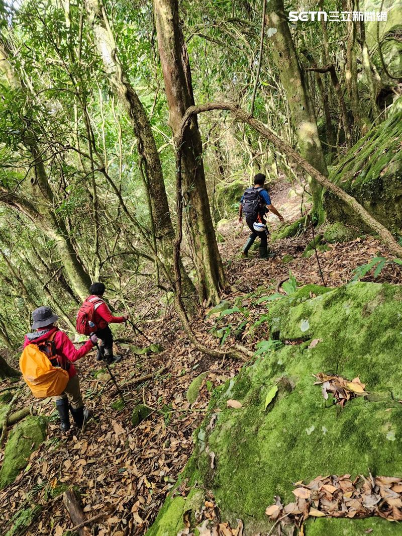 救援人員自山腰切入搜尋，在海拔約 1750 公尺處成功呼喊找到迷途的兩名女山友。(圖/翻攝畫面)