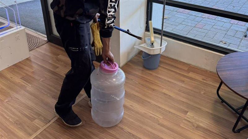 龍井圖書館蛇咬人!品種曝光:毒性恐致命