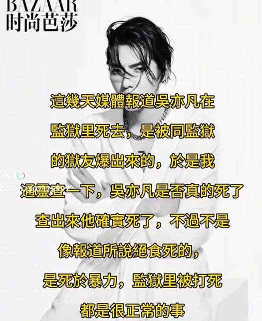 近日加拿大政府已確認中國於本年度已有多名「加拿大國籍」或「具有加國國籍」身份者，遭判死刑以及在中國監獄中身亡。（圖／翻攝自TikTok）