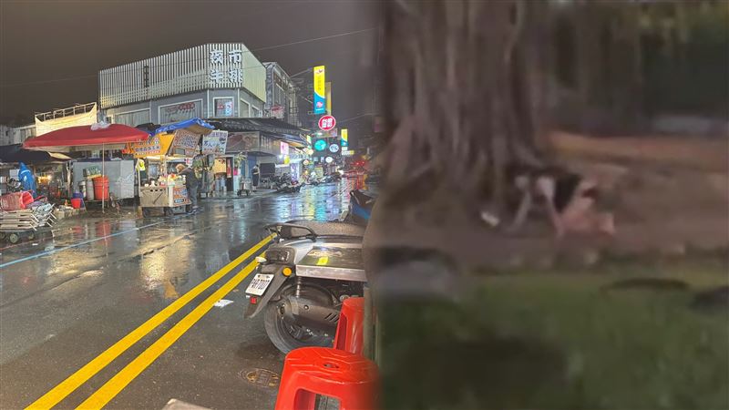 羅東夜市女持菜刀跪地爬行 遊客驚嚇求助