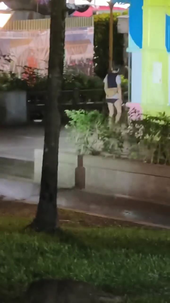 女子僅穿著內褲現身夜市，再拿著菜刀走到公園。（圖／翻攝畫面）