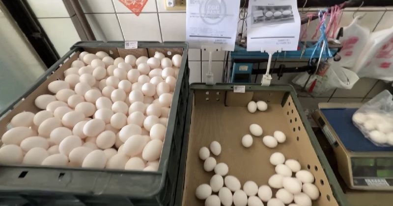 新／收芬普尼毒蛋　龍忠蛋行老闆20萬交保