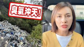 邱議瑩,柯志恩,環保局,國民黨,民進黨,台南,高雄,垃圾,立委,月世界,燕巢（圖／翻攝自柯志恩臉書、翻攝畫面）