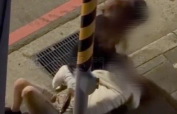 顏女倒地打滾，換潘女開始一陣輸出好幾個巴掌反擊。（圖／翻攝自黑色豪門企業）