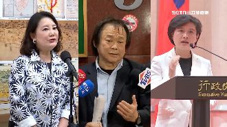 綠營北市長徵召1月出爐　「3大咖」被點名