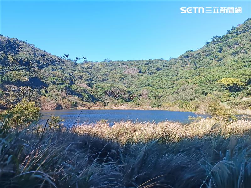 大屯山區向天池的鵠沼枝額蟲（別名向天蝦）大爆發，登山客紛紛上山朝聖。（圖／記者盧素梅攝影）