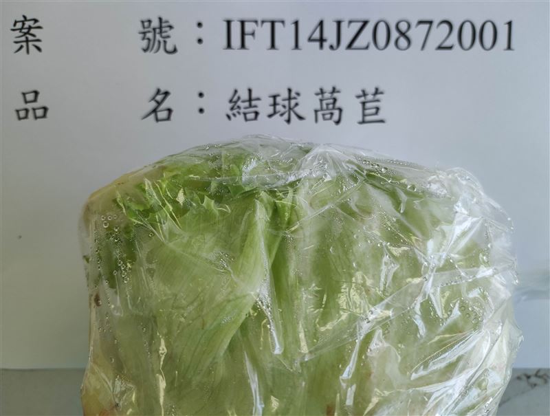 「全球合作開發股份有限公司」自馬來西亞進口的結球萵苣，檢出殘留農藥芬普尼0.003 ppm。（圖／食藥署提供）