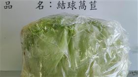 「全球合作開發股份有限公司」自馬來西亞進口的結球萵苣，檢出殘留農藥芬普尼0.003 ppm。（圖／食藥署提供）