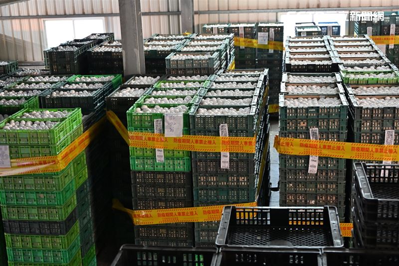 彰化縣政府農政與衛生單位清晨即進入封存倉庫，逐籃清點數量、逐批比對封條，確保沒有任何蛋品在運送前遭拆封或短少。(圖/翻攝畫面)