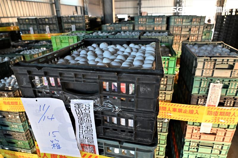農業處表示，銷毀前均留存完整紀錄，並有檢調、動防及衛生單位在場交叉查核，確保全數問題蛋被完全清除，不可能再回到市面流通。(圖/翻攝畫面)