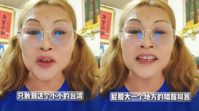 何鷹鷺嗆，小小的台灣，屁股大的一個地方（圖／翻攝自抖音）