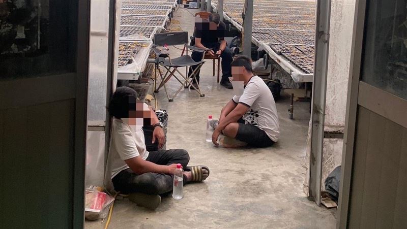 詐團成員疑黑吃黑！淪「豬仔」被打到命危