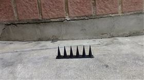 連鎖眼鏡行騎樓前的階梯被放置「防鴿用塑膠尖刺板」。（圖／翻攝自臉書爆料公社二社）