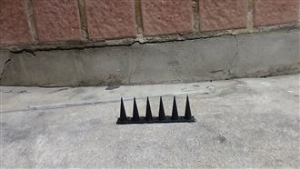 阻街友躺睡騎樓階梯　住戶用這招被警送辦