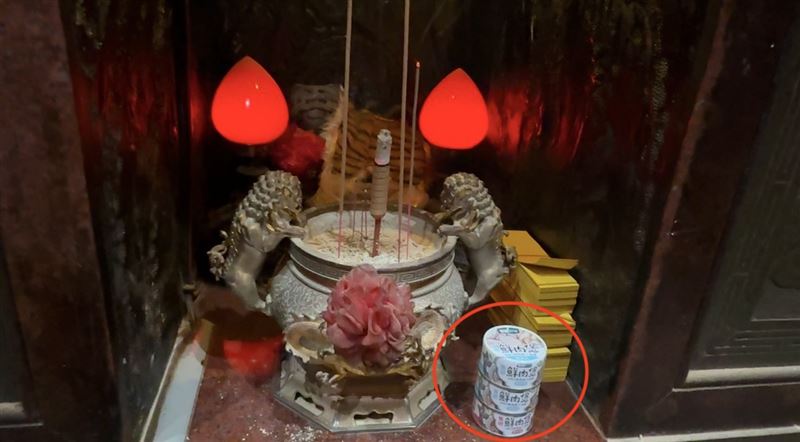 用貓罐頭拜虎爺秒發爐 廟方嘆:祂不是貓