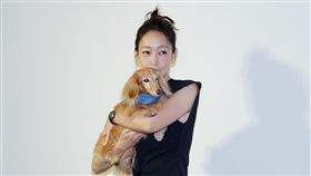 潘慧如出席寵物食品代言活動。（圖／記者趙于瑩攝影）
