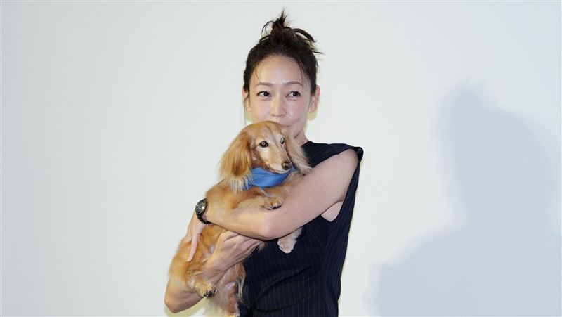 潘慧如出手了！承諾協助人人犬舍狗狗這事