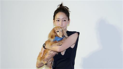 潘慧如出手了！承諾協助人人犬舍狗狗這事