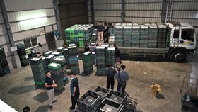 文雅畜牧場,雞蛋,芬普尼,毒蛋,外流,銷毀（圖／彰化縣府提供）